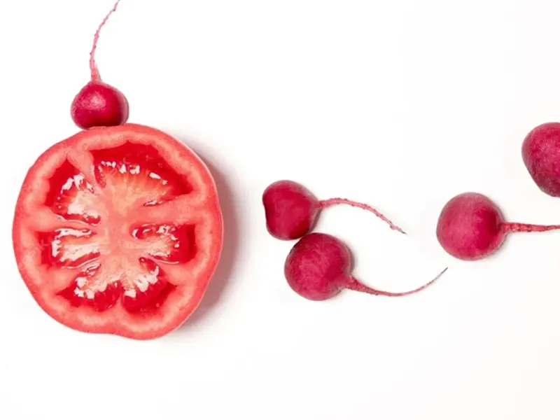 اهمیت تخمک گذاری برای بارداری