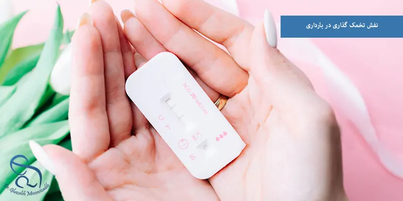 نفش تخمک گذاری در بارداری