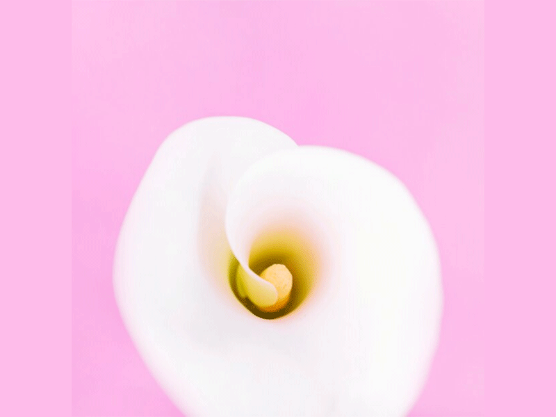 کاندیدای نامناسب لابیاپلاستی