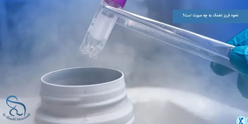 نحوه فریز تخمک به چه صورت است؟