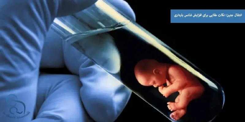 انتقال جنین؛ نکات طلایی برای افزایش شانس بارداری